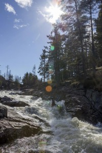 IMG_9864